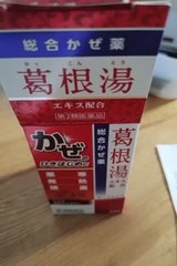 ダイヤルかぜ1錠剤 54錠