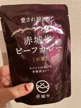 鳥山畜産 赤城牛ビーフカレー中辛 200g