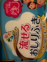 大一紙工 大人用おしりふき 流せる 70枚