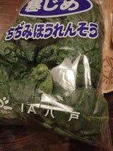 JA八戸 寒じめほうれんそう 1P