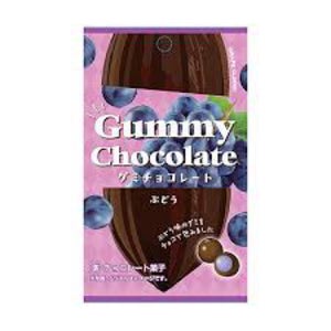 クリート グミチョコレートぶどう 30g