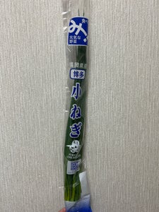 全農福岡 青ねぎ 50g