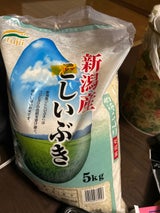 藤井 こしいぶき 5kg