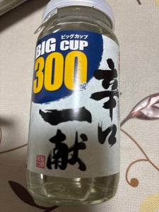 黄桜 辛口一献 ビッグカップ 300ml