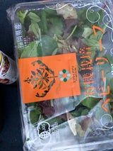 FYアグリ 福岡県産有機栽培ベビーリーフ 65g