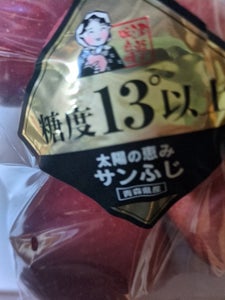 丸船 ふじ12度 6P