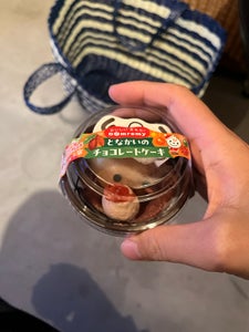 ドンレミー となかいのチョコレートケーキ