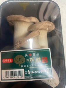 雲仙きのこ エリンギ 100g