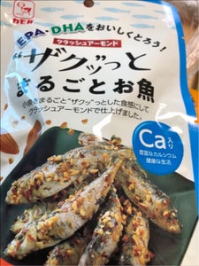 カモ井食品 ザクッっとまるごとお魚 45g