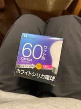 マクサー ホワイトシリカ電球60W型 2P