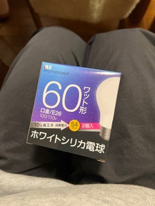 マクサー ホワイトシリカ電球60W型 2P