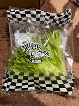 山一 フリルレタス愛知県産 1P