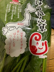 横江伝造 みず菜