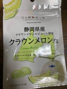 ニッポンエール 静岡クラウンメロングミ 40g