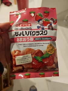 シューロール(ベルギー産チョコ入りクリーム&