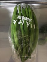 山元 いんげん 100g