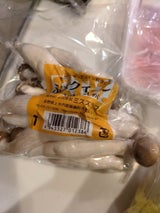 ミスズ ぶなクイーン 200g