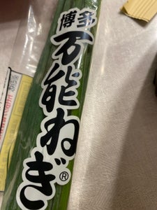 JA福岡 博多万能ねぎ 100g