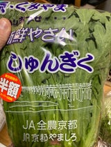 JA京都 しゅんぎく 1P