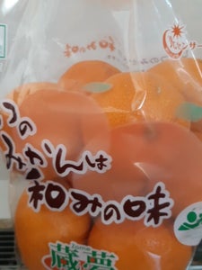 東邦フイルム 和みの味 1kg