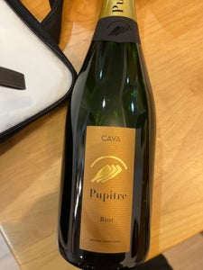 カステルD カヴァピュピトレ BRUT 750ml