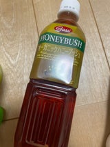 ガスコ OGハニーブウッシュテイー 500ml