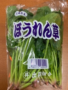 井坂 ほうれん草 200g