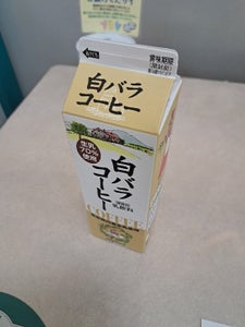 大山 白バラコーヒー 1000ml