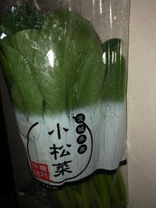 東神 こまつ菜茨城産 1P