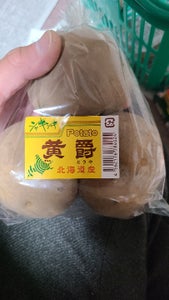 長印 なましいたけ 1P