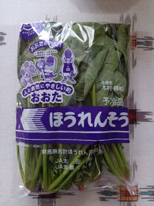 JA群馬 ほうれん草