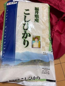 伊丹産業 福井県産こしひかり 5kg