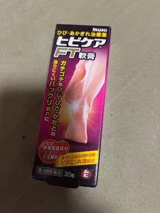 ヒビケアFT軟膏 20g