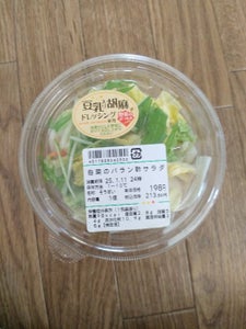 デリア 白菜のバラン酢サラダ 1P