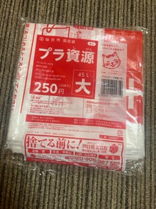 仙台市 プラスチック製容器包装指定袋 大 10枚