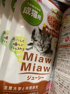 ミャウミャウジューシー やわらかビーフ 60g