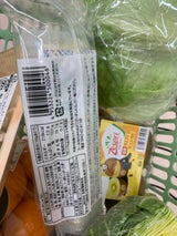 志岐 一口いかしゅうまい 4個入