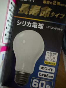 朝日 ELPA シリカ電球 60W