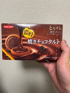 イトウ製菓 焼きチョコタルト 8枚