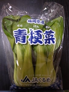 全農福岡 チンゲンサイ 200g