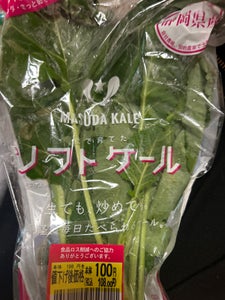 増田 ケールDEサラダ 120g