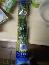 丸朝園芸 水耕みつば M 50g