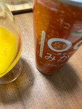 北海道麦酒 まるまるみかん 250ml