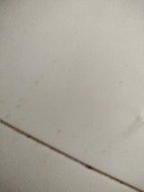 山福青果 一尺ごぼう 青森