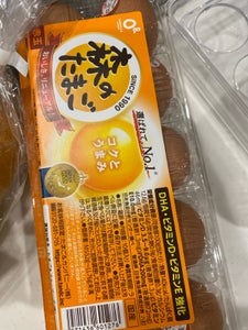 イセ食品 森のたまご 赤 10個