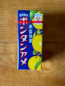 セイカ食品 ボンタンアメ 4粒