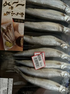 岡田水産 彩旬魚 ししゃも 6L8尾