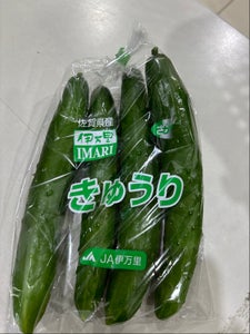 JA佐賀 きゅうり