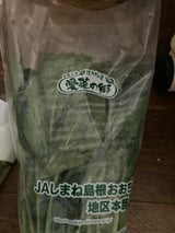 JAおおち ほうれん草
