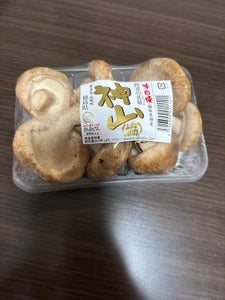 神山 生椎茸 徳島産 100g